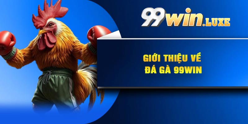 Giới thiệu về đá gà 99Win