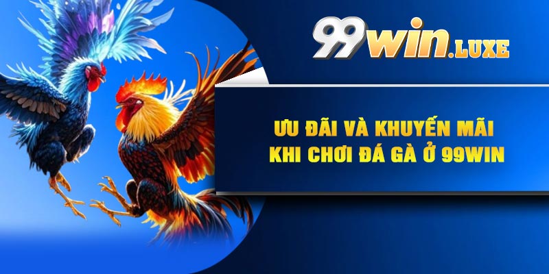 Ưu đãi và khuyến mãi khi chơi đá gà ở 99Win